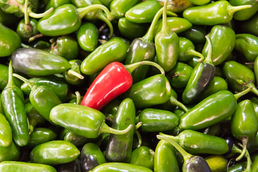 Selling peppers at the market-Kathmandu-Nepal